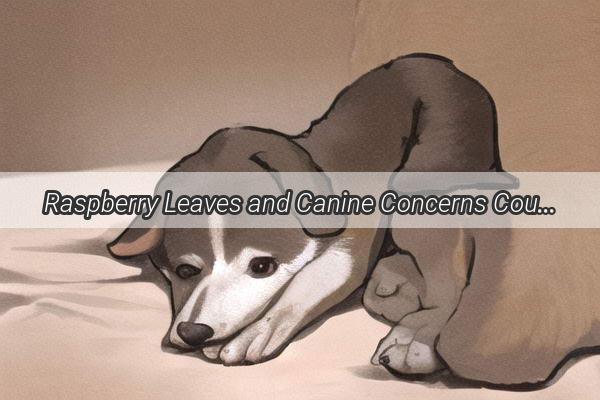 Raspberry Leaves and Canine Concerns Could Your Dogs Curiosity Lead to Tragedy